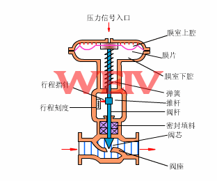 ��ӱ�Ĥ�{���y����ԭ��D